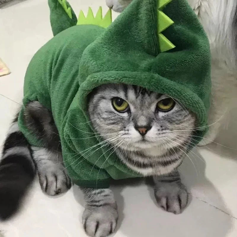 Roupa Dragão Verde para Gatos